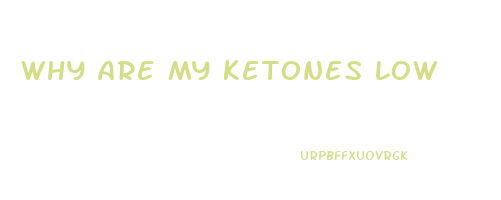 why are my ketones low