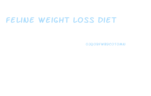 Feline Weight Loss Diet