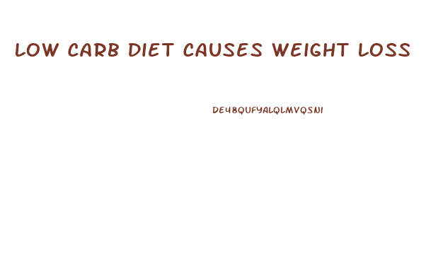 Low Carb Diet Causes Weight Loss