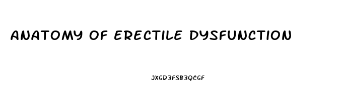 Anatomy Of Erectile Dysfunction