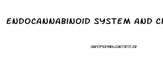 Endocannabinoid System And Cbd Oil