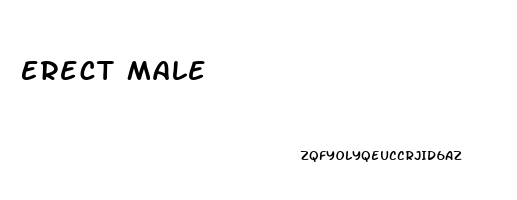 Erect Male