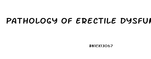 Pathology Of Erectile Dysfunction