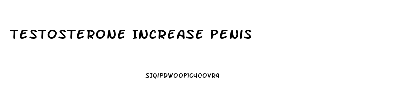 Testosterone Increase Penis
