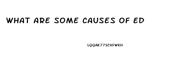 What Are Some Causes Of Ed