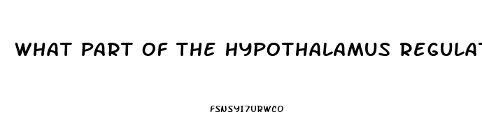 What Part Of The Hypothalamus Regulates The Sex Drive