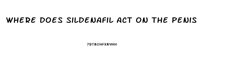 Where Does Sildenafil Act On The Penis