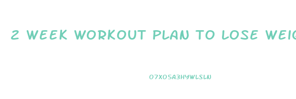 2 week workout plan to lose weight