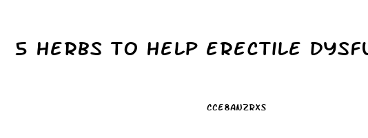 5 herbs to help erectile dysfunction