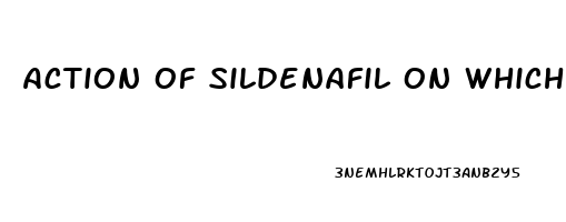 Action Of Sildenafil On Which Part Of The Penis