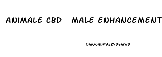 Animale Cbd  Male Enhancement Gummies