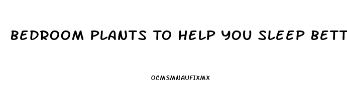 Bedroom Plants To Help You Sleep Better