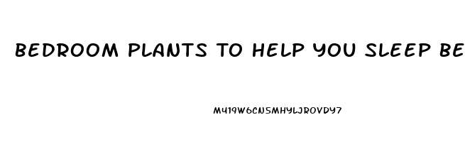 Bedroom Plants To Help You Sleep Better