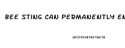 Bee Sting Can Permanently Enlarge Penis