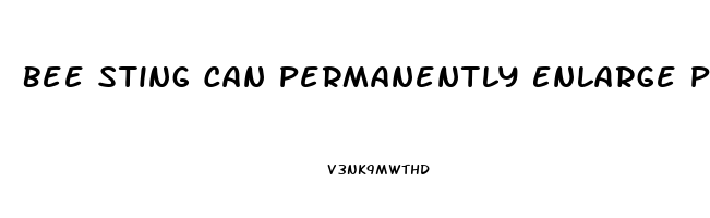 Bee Sting Can Permanently Enlarge Penis