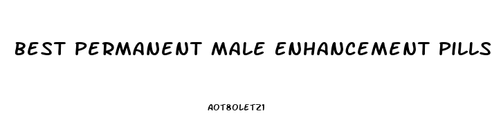 Best Permanent Male Enhancement Pills