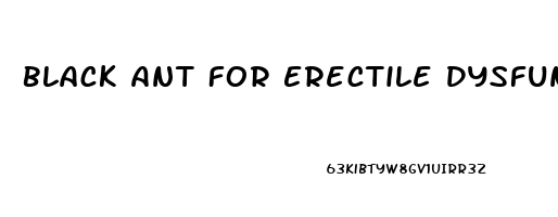 Black Ant For Erectile Dysfunction