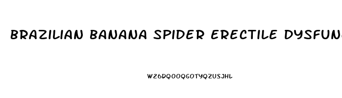 Brazilian Banana Spider Erectile Dysfunction