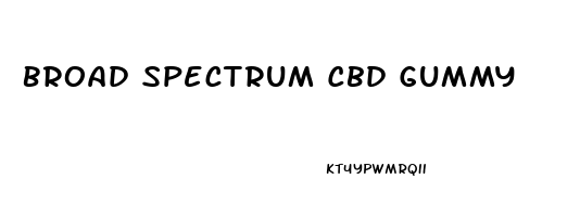 Broad Spectrum Cbd Gummy