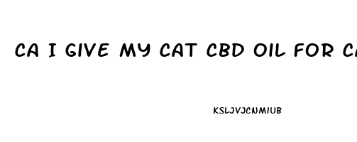 Ca I Give My Cat Cbd Oil For Cancer