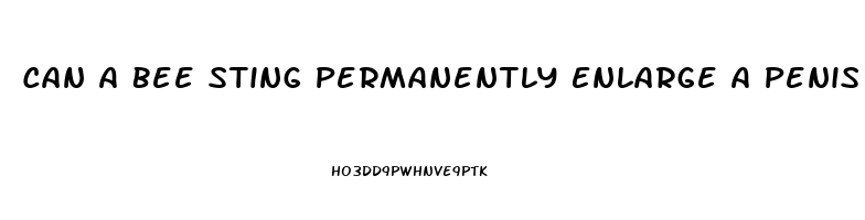 Can A Bee Sting Permanently Enlarge A Penis