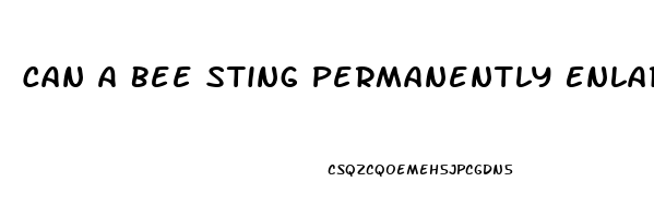 Can A Bee Sting Permanently Enlarge Penis