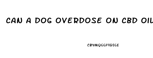 Can A Dog Overdose On Cbd Oil