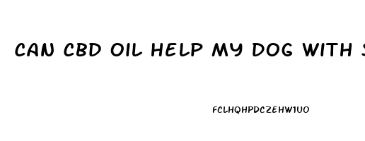 Can Cbd Oil Help My Dog With Seizures