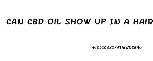 Can Cbd Oil Show Up In A Hair Follicle Test