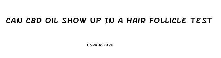 Can Cbd Oil Show Up In A Hair Follicle Test