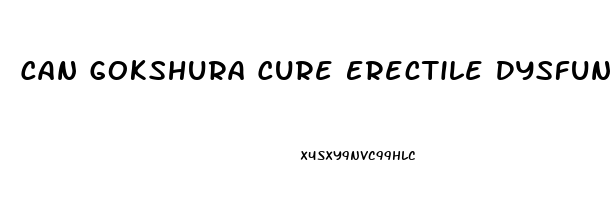 Can Gokshura Cure Erectile Dysfunction