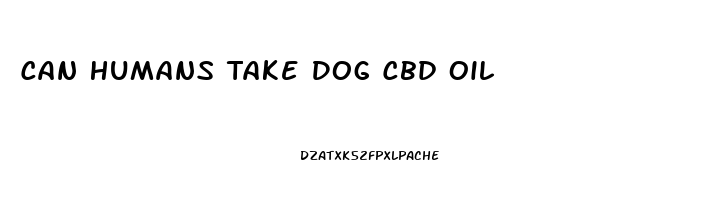 Can Humans Take Dog Cbd Oil