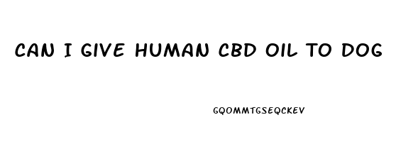 Can I Give Human Cbd Oil To Dog