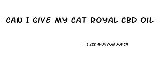 Can I Give My Cat Royal Cbd Oil