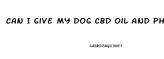 Can I Give My Dog Cbd Oil And Phenobarbital