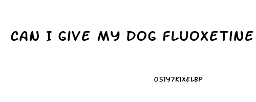 Can I Give My Dog Fluoxetine And Cbd Oil