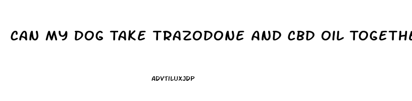 Can My Dog Take Trazodone And Cbd Oil Together