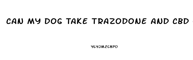 Can My Dog Take Trazodone And Cbd Oil Together