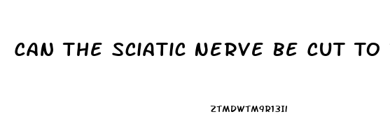 Can The Sciatic Nerve Be Cut To Relieve Pain