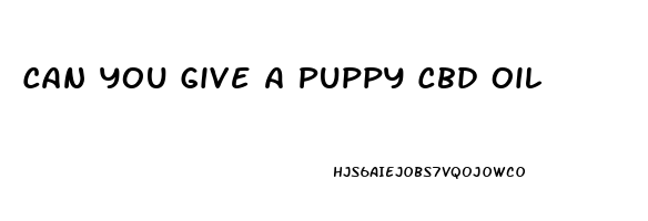 Can You Give A Puppy Cbd Oil