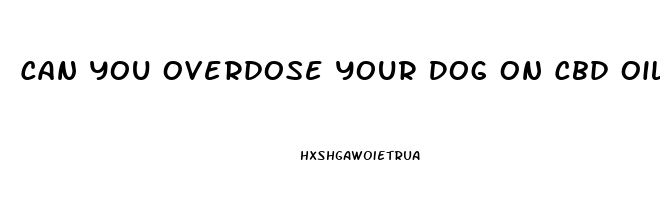 Can You Overdose Your Dog On Cbd Oil