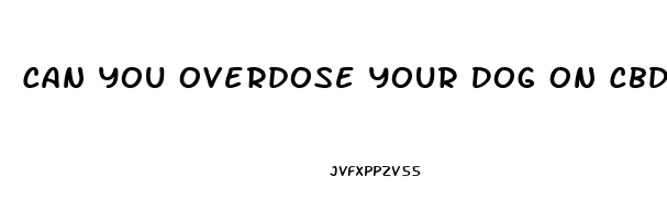 Can You Overdose Your Dog On Cbd Oil