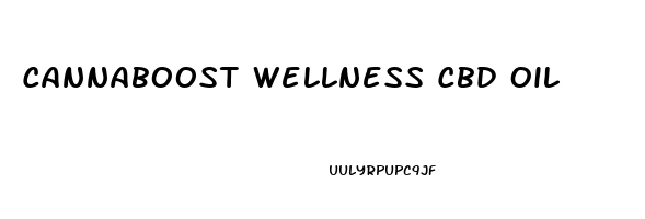 Cannaboost Wellness Cbd Oil