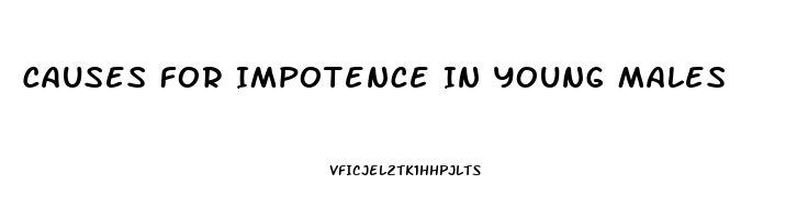 Causes For Impotence In Young Males