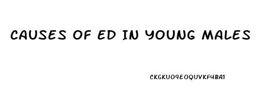 Causes Of Ed In Young Males
