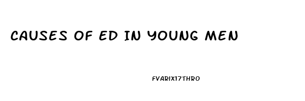 Causes Of Ed In Young Men