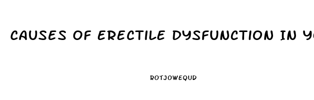 Causes Of Erectile Dysfunction In Young Males