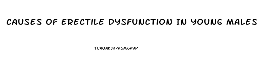 Causes Of Erectile Dysfunction In Young Males