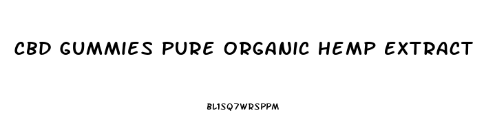Cbd Gummies Pure Organic Hemp Extract