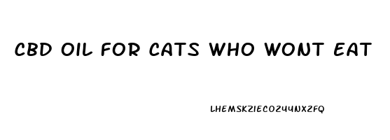 Cbd Oil For Cats Who Wont Eat